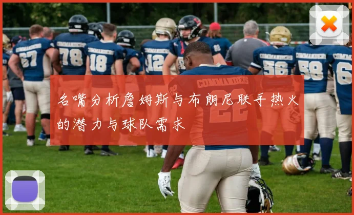 名嘴分析詹姆斯与布朗尼联手热火的潜力与球队需求